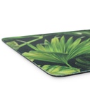 Palm Leaves Print Placemat Set (43cmx29cm) | felt with PVC backing
