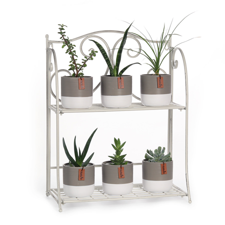 2-in-1 Metal Double Display Shelf (56x45cm) | standing or wall mounted