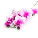 Artificial Moth Orchid (53cm) - white & purple