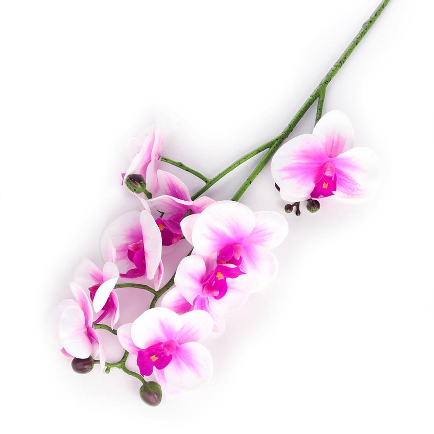 Artificial Moth Orchid (53cm) - white &amp; purple