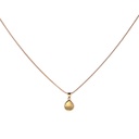 Petite Seashell Teardrop Pendant | with gold chain