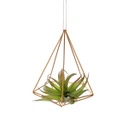 Gold Geometric Large Pyramid | with Air Plant