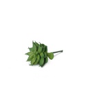 Artificial - Echeveria Tippy Succulent - 10 cm (copy)