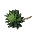 Artificial - Cucumber Succulent - 9 cm