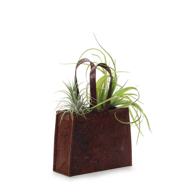 Ionantha &amp; Multiflora in Rusty Handbag