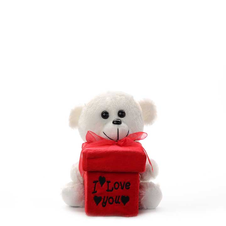 "I Love You" Gift Box Teddy Bear