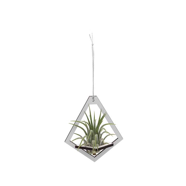 Teardrop Holder (small) | with Air Plant
