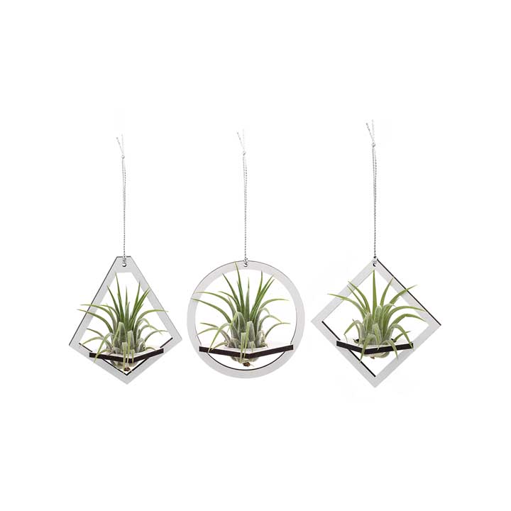 Geometric Holder Set (small) | with Air Plants