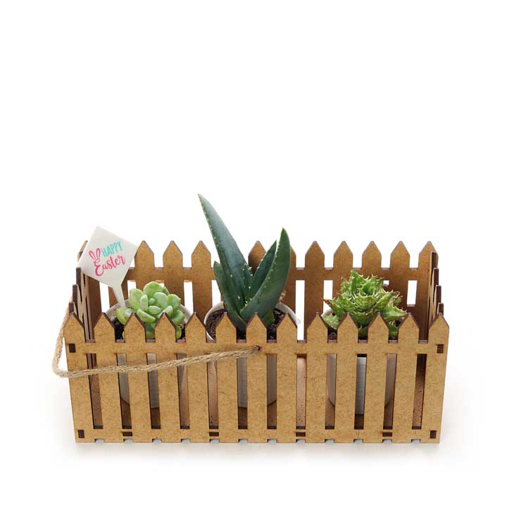 Trio of succulents in Fence holder