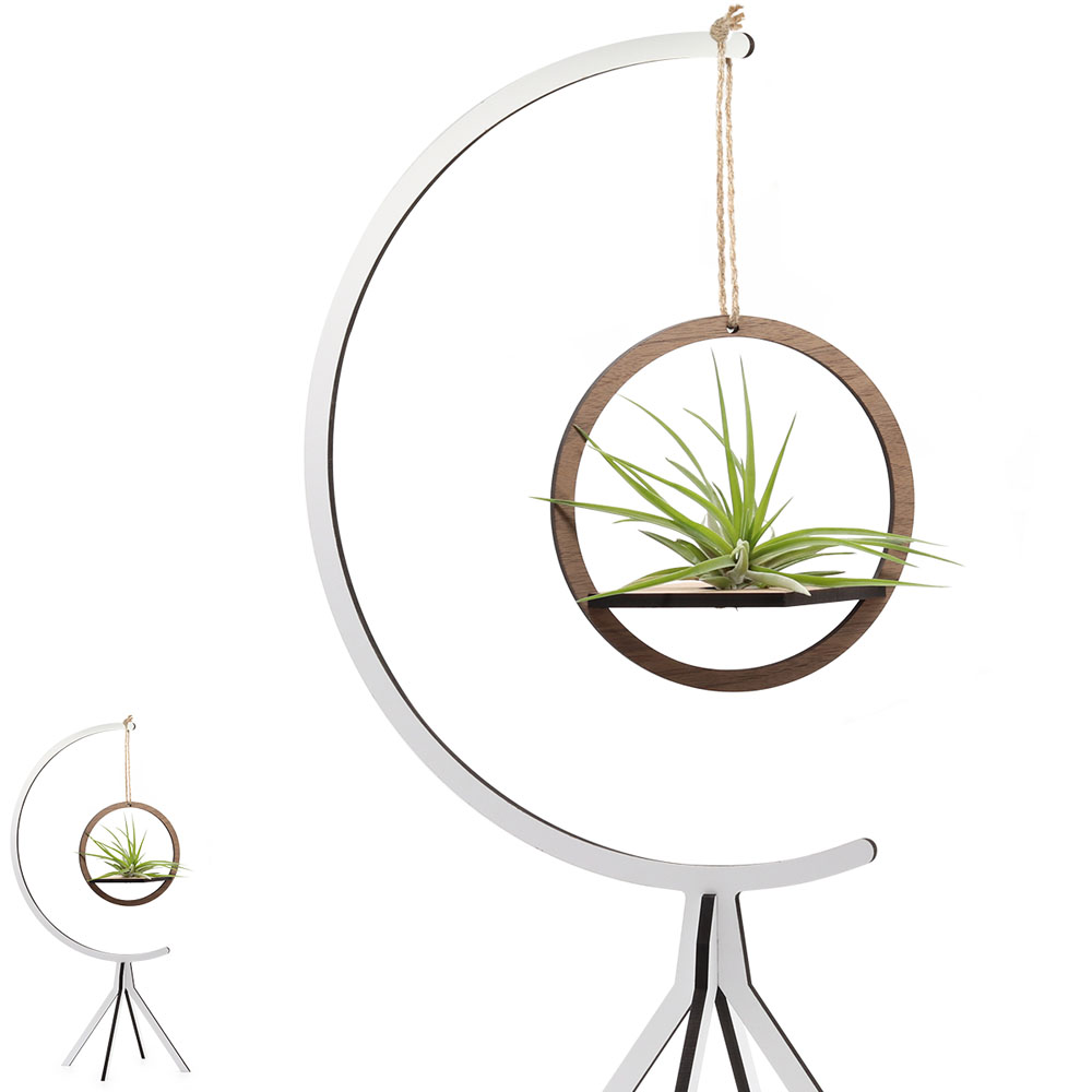 Hanging Circle on Moon Stand (large) | with Air Plant