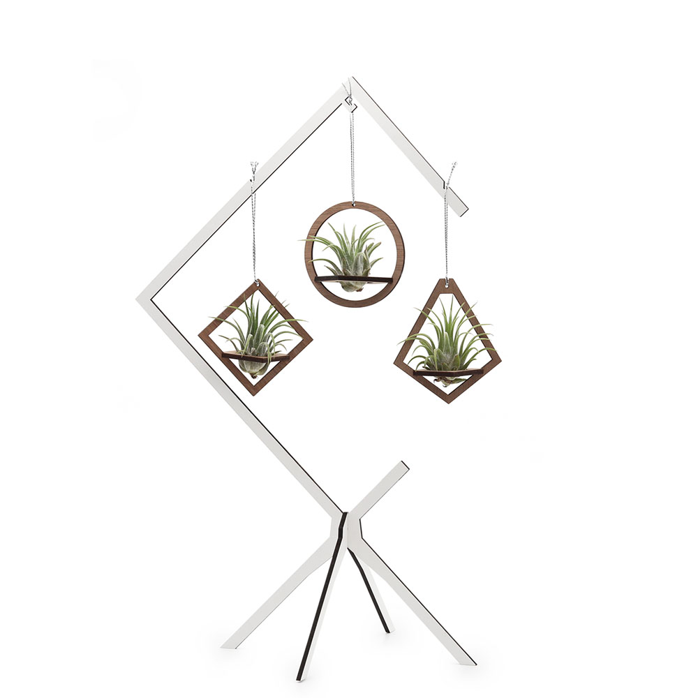 Hanging Geometric Frames on Square Stand | with Air Plants
