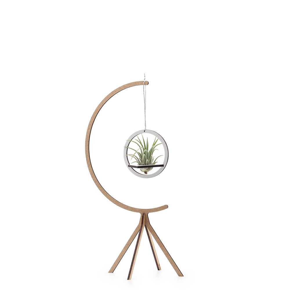 Hanging Air Plant Combo #1 - small