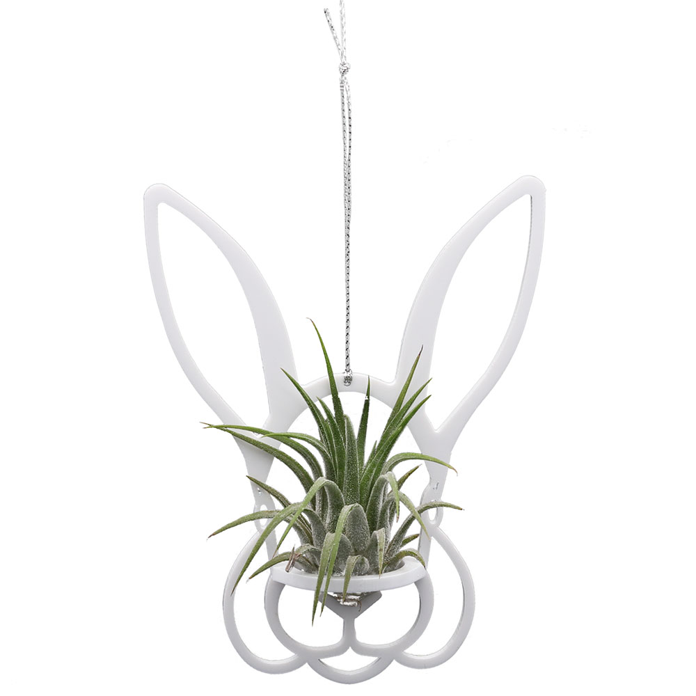 Air Plant Holder &amp; Plant - Bunny