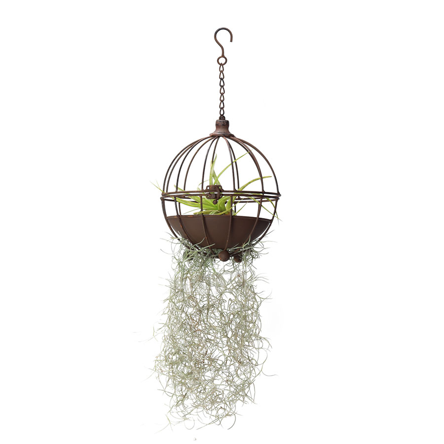 Decorative Hanging Metal Ball (20cm) | with air plants
