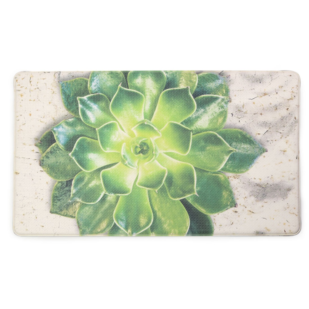 Rosette Succulent Memory Foam Kitchen Mat (76x46cm)