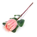 Artificial Pink Protea Flower | length: 65cm