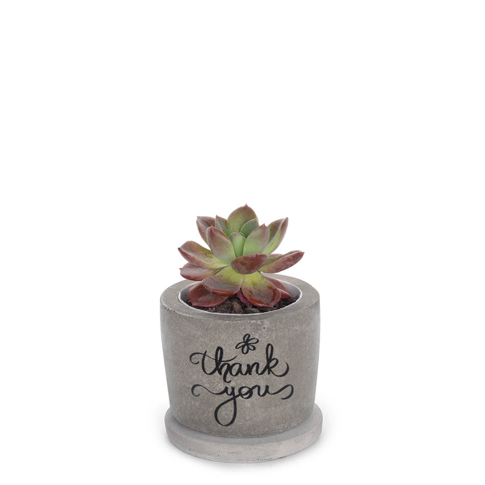 Printed Concrete Pot (7cm) | thank you