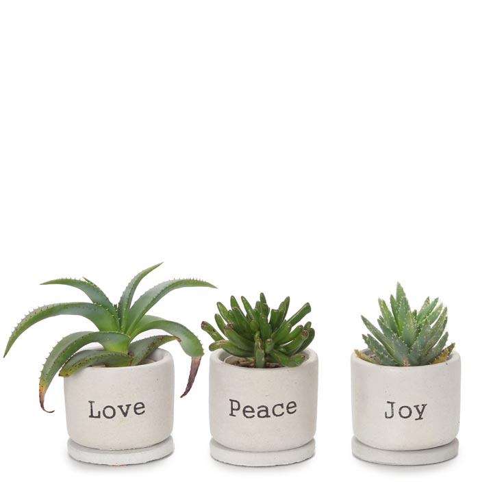 Love, Peace & Joy Concrete Pot Set of 3 (7.5cm)