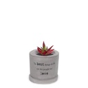 Printed Concrete Pot (7cm) | best things in life
