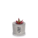Printed Concrete Pot (7cm) | ek is baie lief vir jou