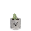 Printed Concrete Pot (7cm) | glo in jouself