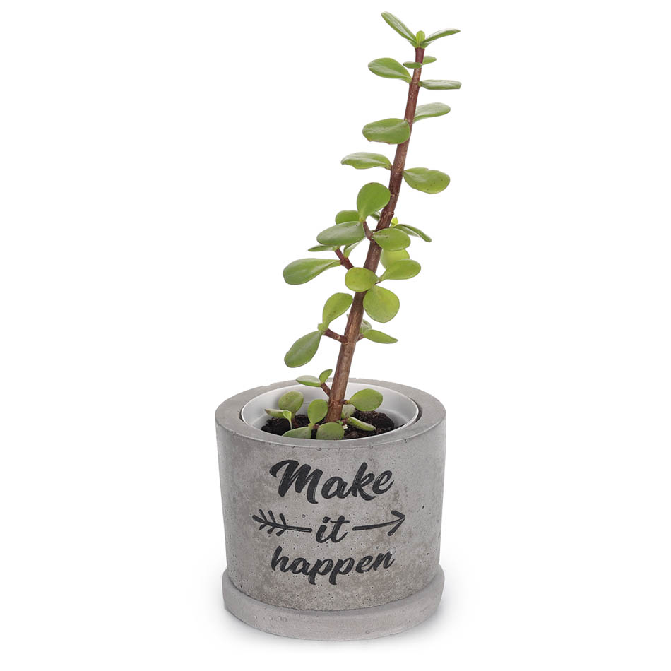 Printed Concrete Pot (7cm) | make it happen