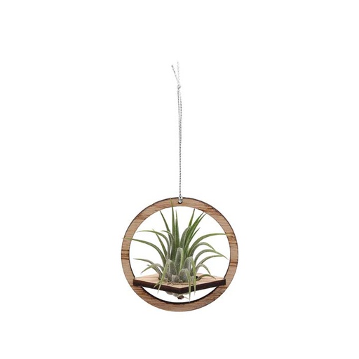 Circle Holder (small) | with Air Plant