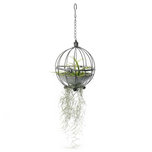 Decorative Hanging Metal Ball (20cm) | with Air Plants