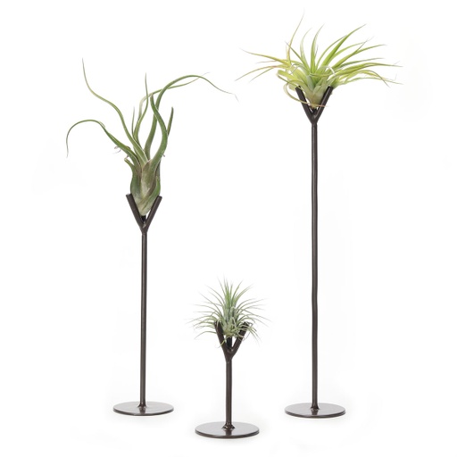 [air-hol-pla-for-com] Metal Fork Stand Set | with Air Plants