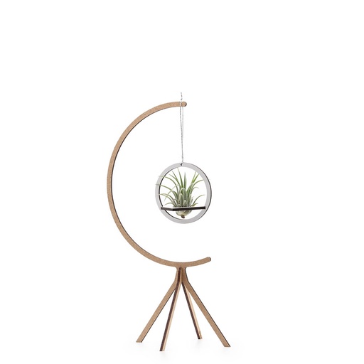 [air-sml-com-1-sta] Hanging Air Plant Combo #1 - small