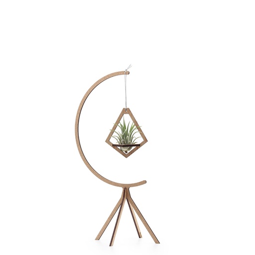 [air-sml-com-3-sta] Hanging Air Plant Combo #3 - small