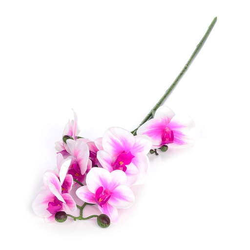 [pla-art-orc-whi-pur-53cm] Artificial Moth Orchid Flower (white & purple) | length: 53cm