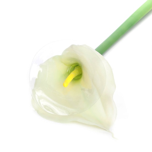 [pla-art-lil-whi-60cm] Artificial Arum Lily Flower | length: 60cm