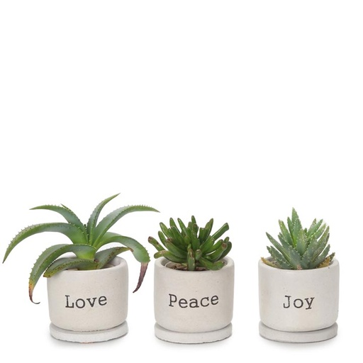 Love, Peace & Joy Concrete Pot Gift Box Set