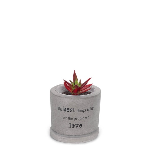 [pot-con-bes-thi-7cm] Printed Concrete Pot (7cm) | best things in life