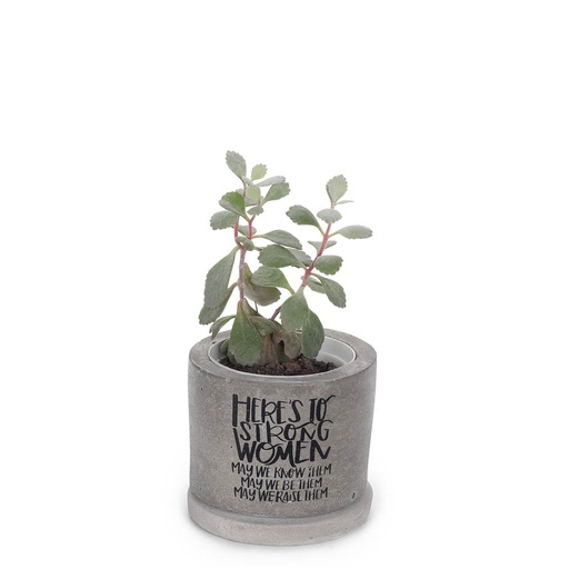 [pot-con-str-wom-7cm] Printed Concrete Pot (7cm) | to strong women