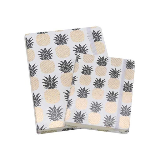 [note-com-A6-A5-pine] Note Book Combo - Pineapple